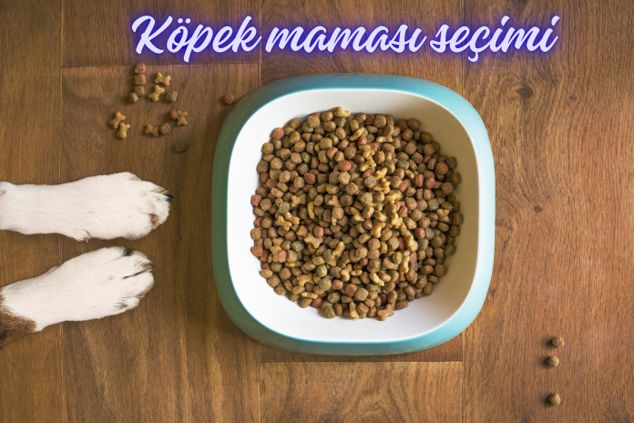 Kopek-mamasi-secimi Köpek maması seçimi