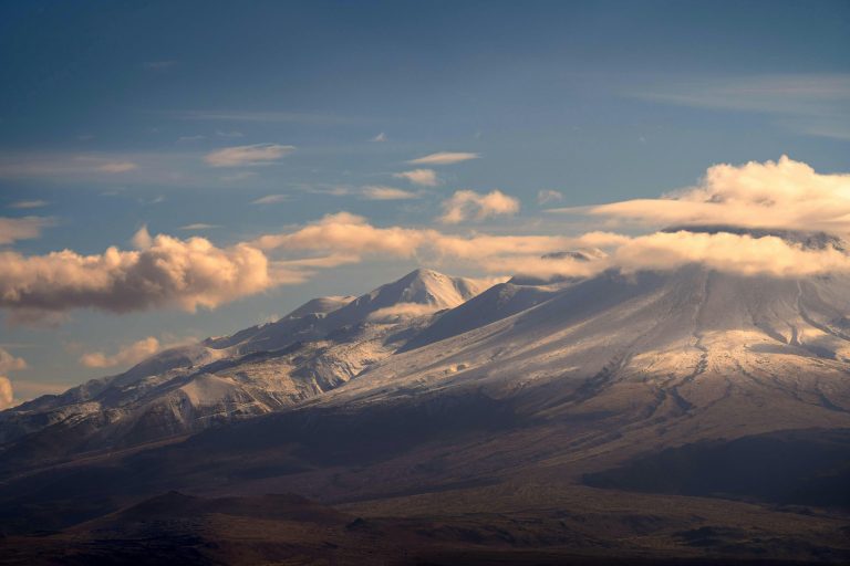 Türkiye’nin Zengin Yaban Hayatı