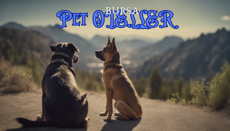 bursa pet otel
