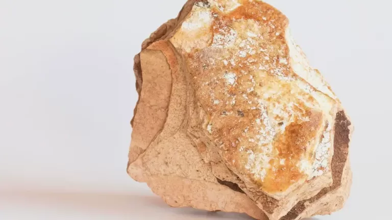 ambergris